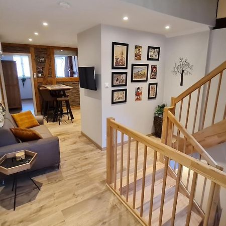 Appartement duplex climatisé avec terrasse HANSI Colmar Exterior foto