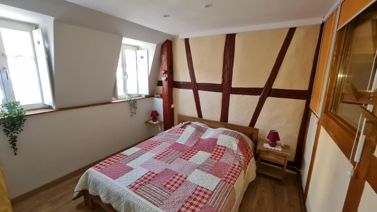 Appartement duplex climatisé avec terrasse HANSI Colmar Exterior foto