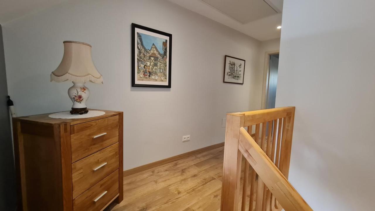 Appartement duplex climatisé avec terrasse HANSI Colmar Exterior foto