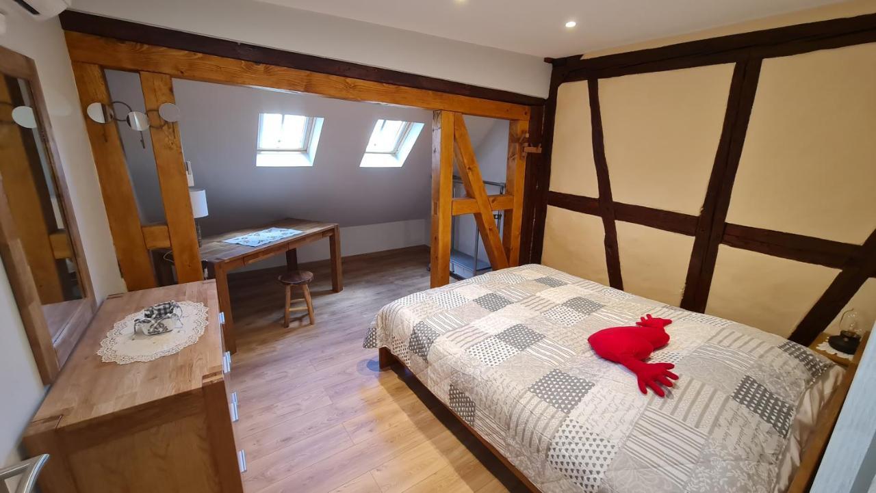 Appartement duplex climatisé avec terrasse HANSI Colmar Exterior foto